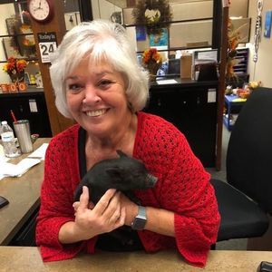 Meet your Posher, Mary